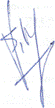 Signature Sophie Vittecoq